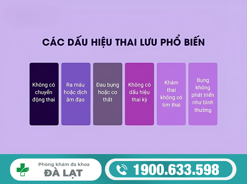 Hình ảnh minh họa